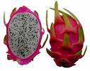 Fresh Dragon Fruit - Gourmet Fruit also known as fresh pitaya fruit or fresh pitahaya fruit.